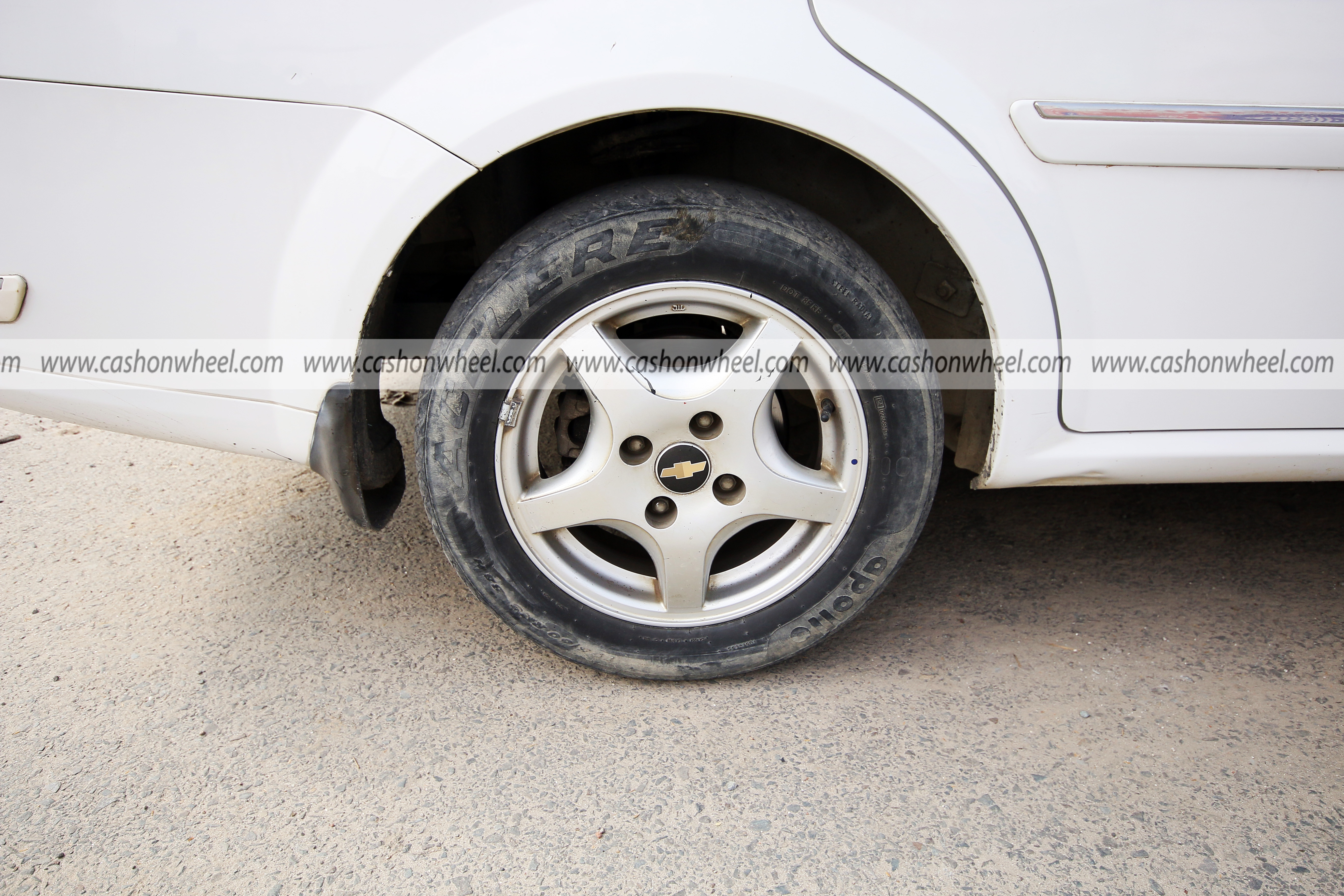 Cash on Wheel