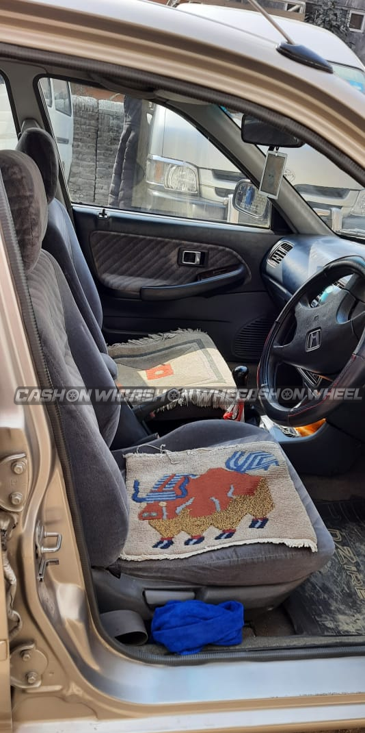Cash on Wheel
